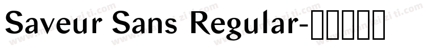 Saveur Sans Regular字体转换